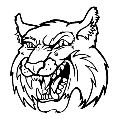 Bobcat